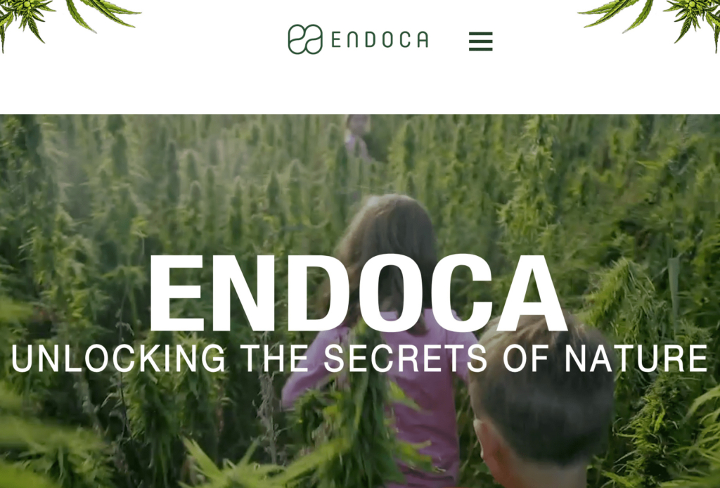エンドカ の公式サイトの画像